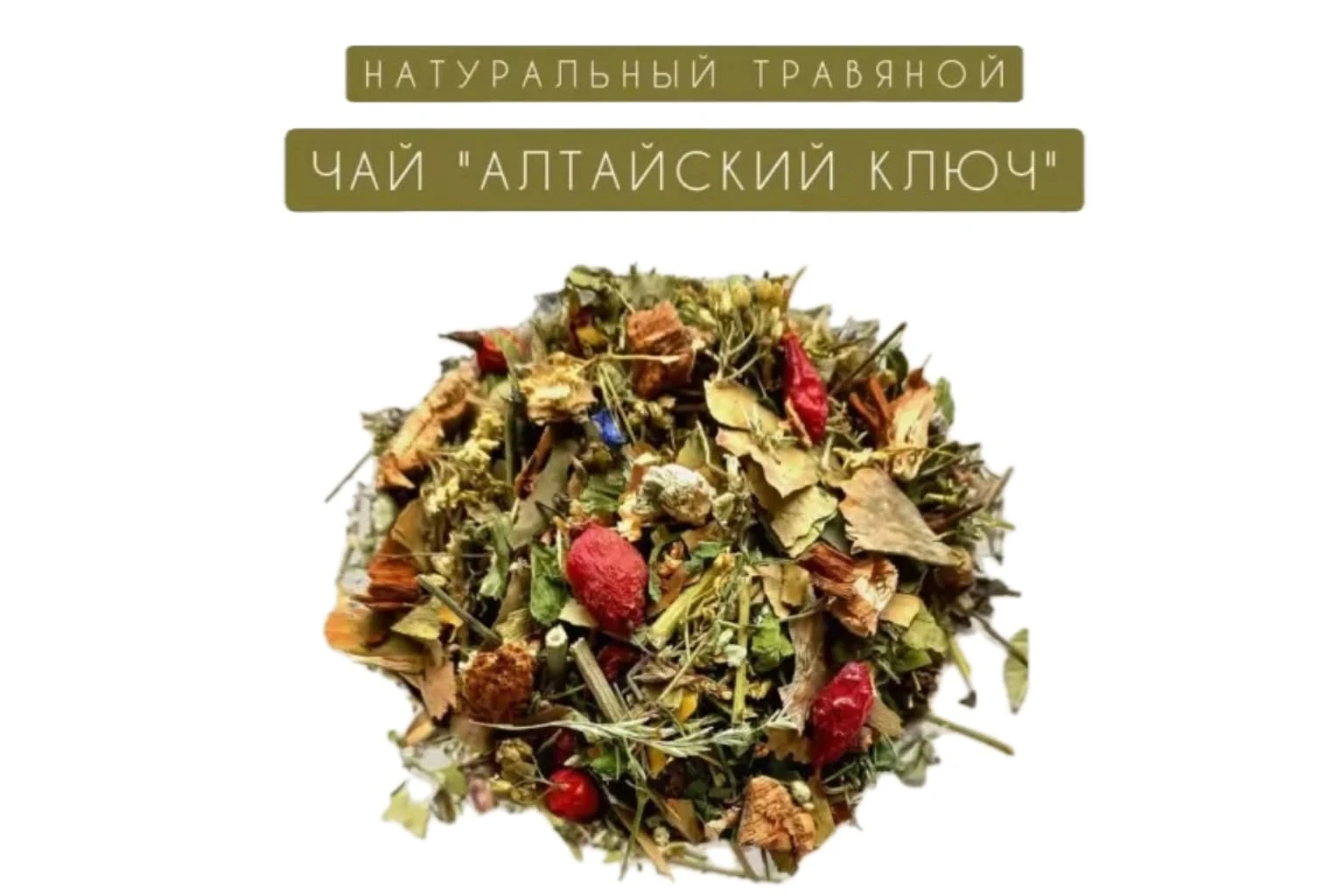 Web_1920_–_172_331