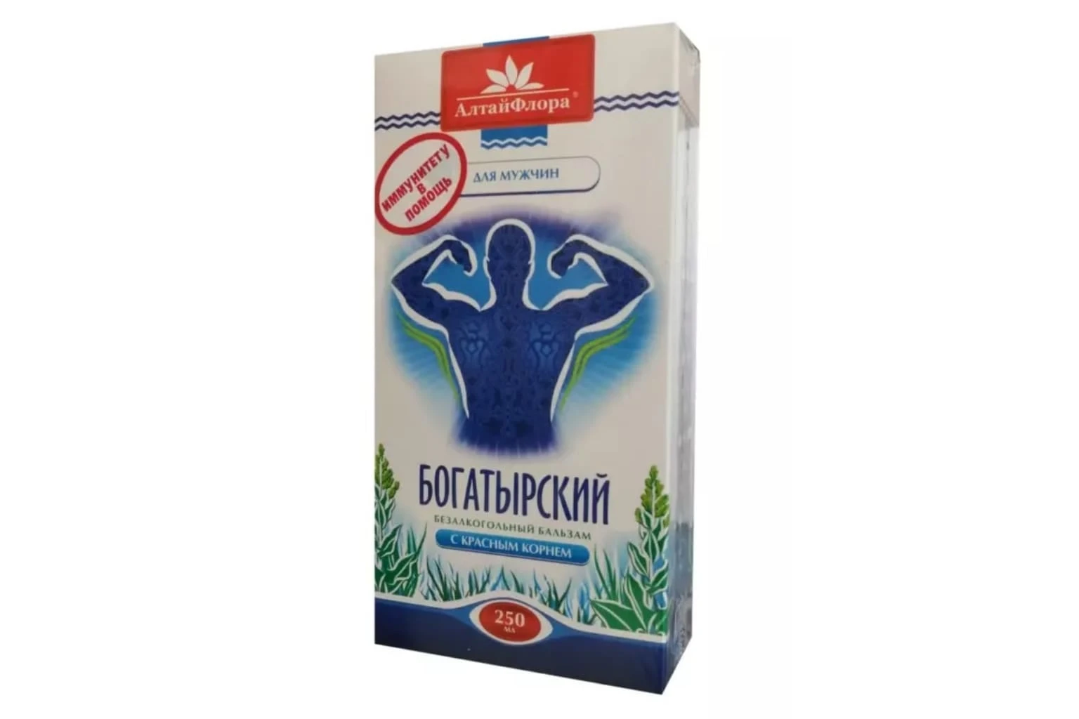 Богатырский_779